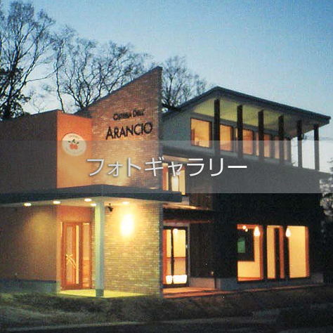 フォトギャラリー